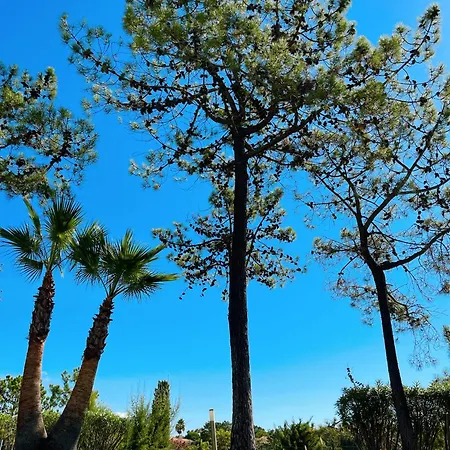 Scarlet's Place Spacious 1-bed Aprt Quinta Do